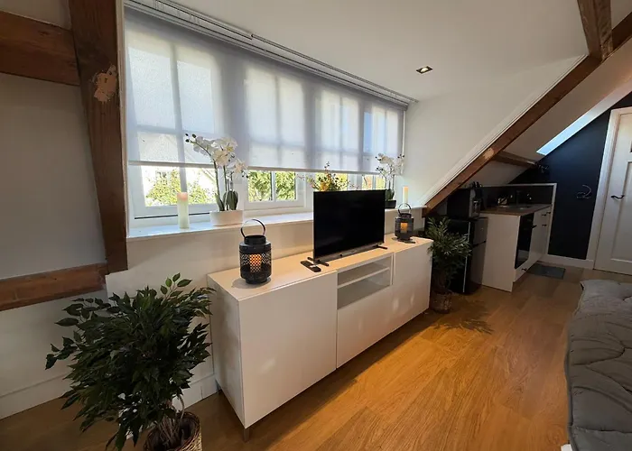 Fuchsiahoeve 3* Blaricum