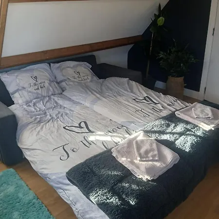 Fuchsiahoeve Bed and Breakfast Blaricum